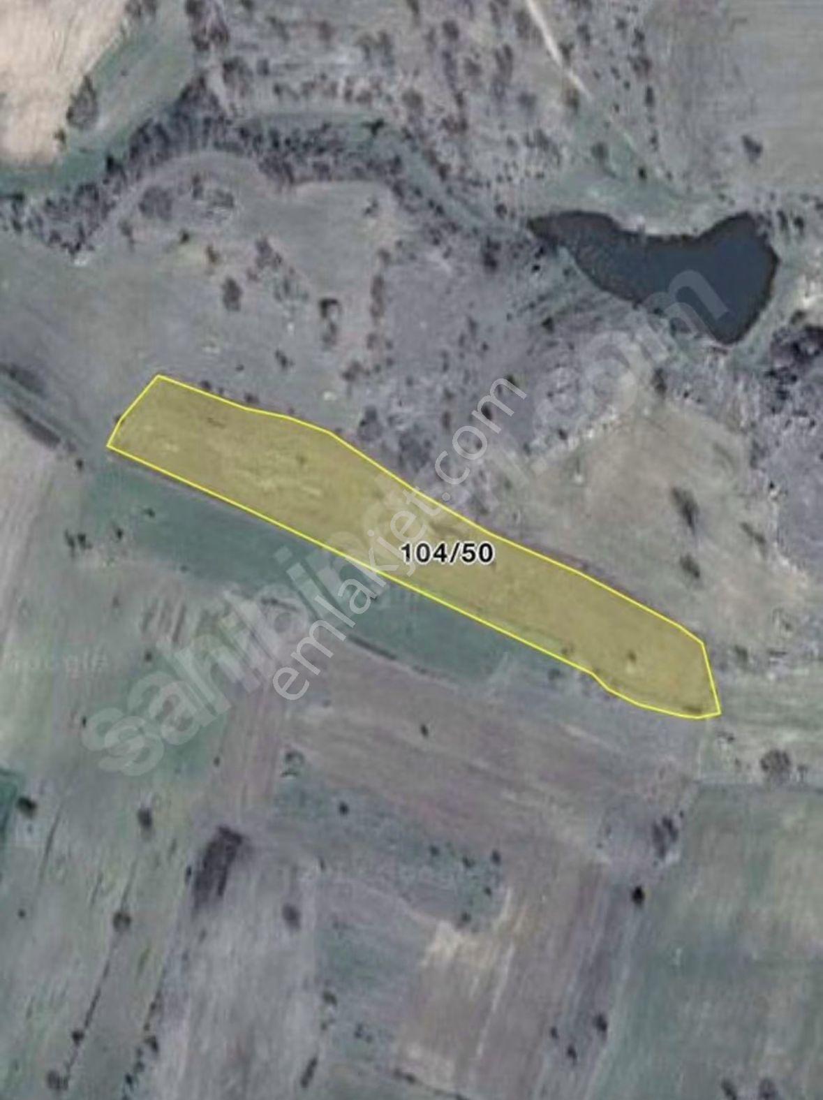 Lider Emlakdan Pinarhisarda Satılık 9175m2 Tarla - Görsel 2