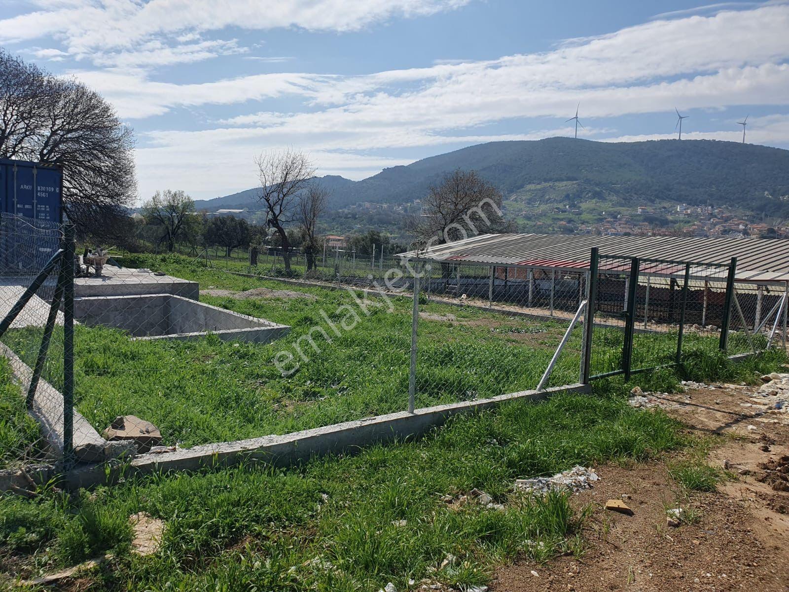 Foça Kozbeyli'de Yol Cepheli Satılık Tarla - Görsel 23