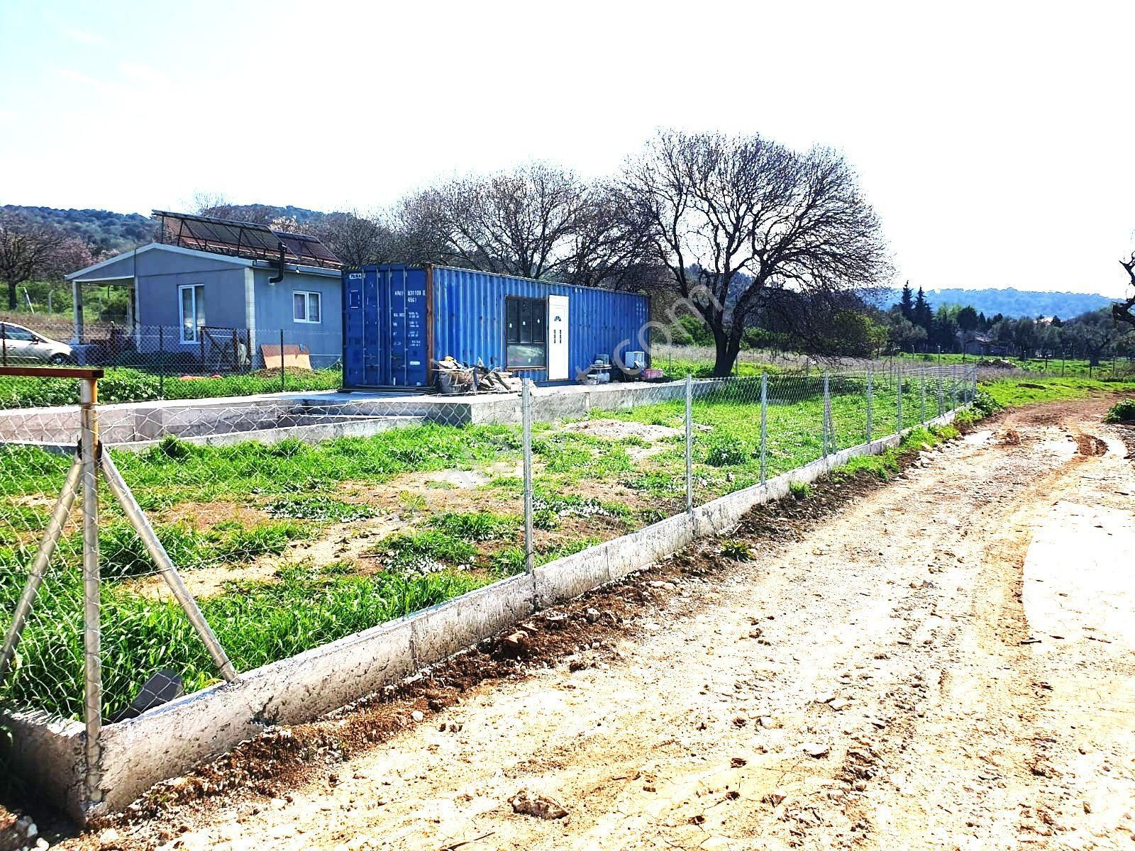Foça Kozbeyli'de Yol Cepheli Satılık Tarla - Görsel 5
