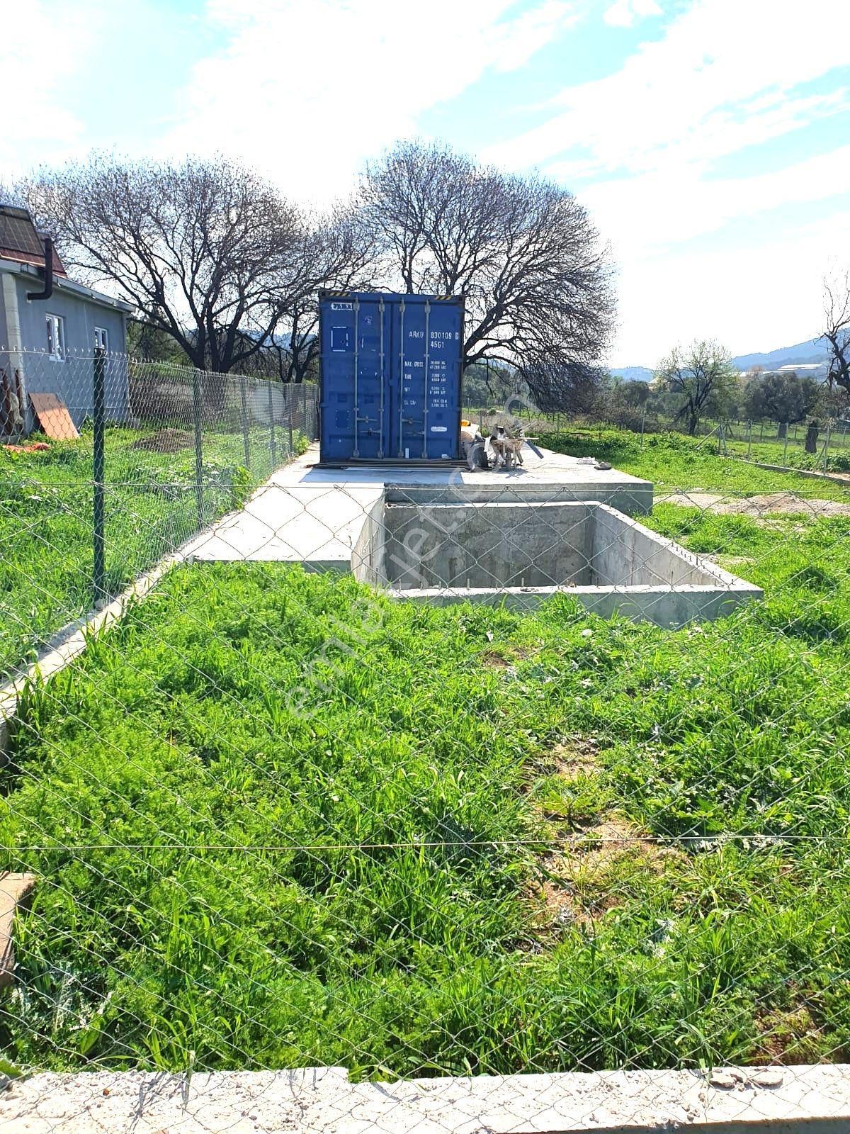 Foça Kozbeyli'de Yol Cepheli Satılık Tarla - Görsel 8