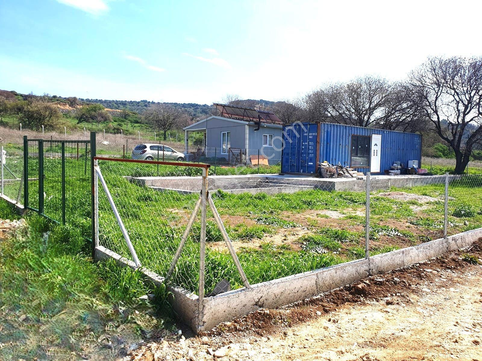 Foça Kozbeyli'de Yol Cepheli Satılık Tarla - Görsel 4