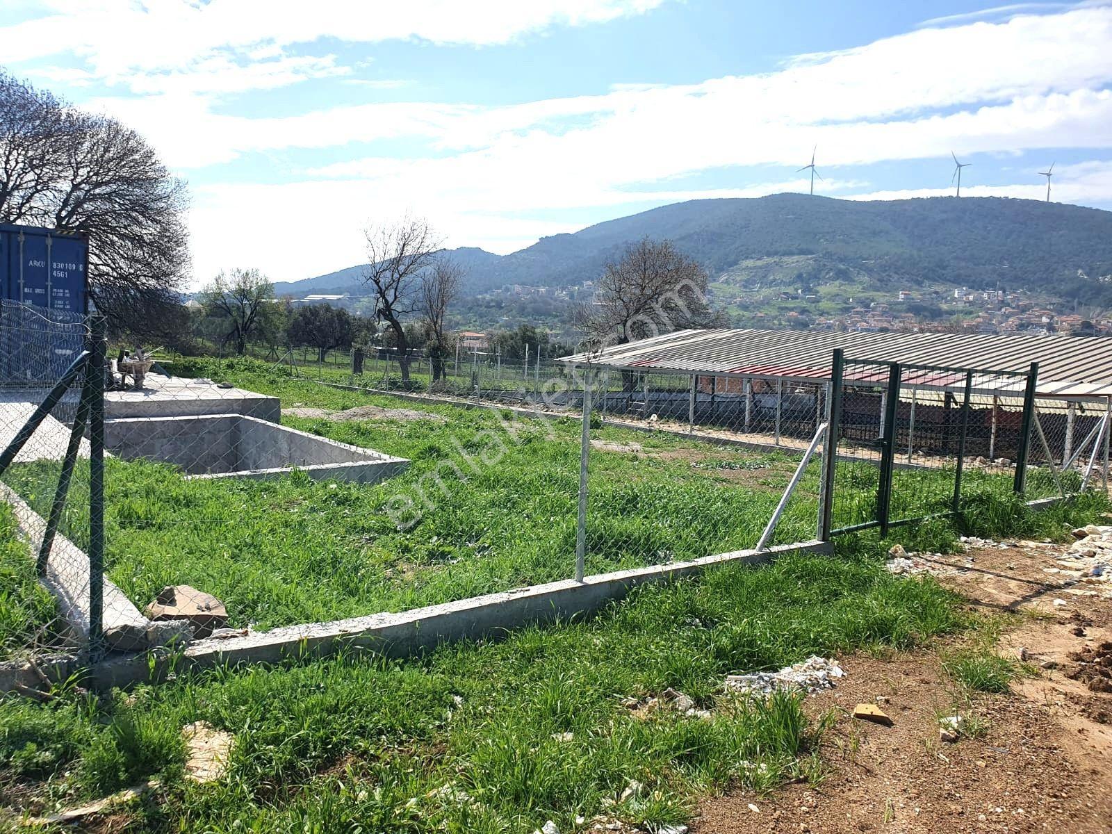 Foça Kozbeyli'de Yol Cepheli Satılık Tarla - Görsel 9