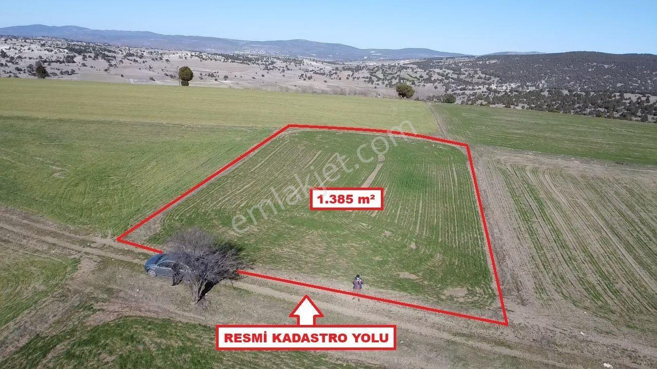 Kütahya Merkez Karacaören' De 1385 M2 Satılık Tarla - Görsel 2
