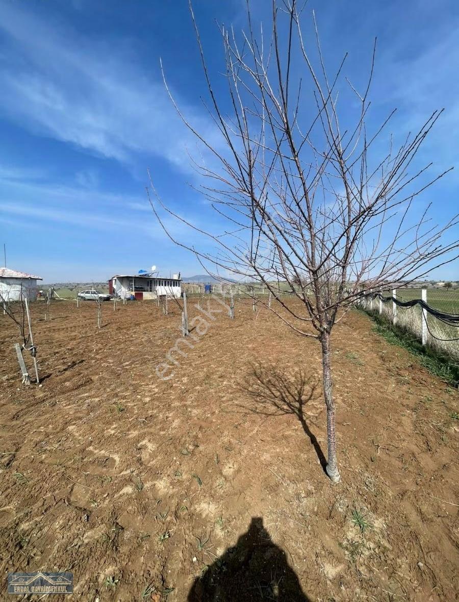 Tavas Sariabat Satılık Hobi Bahçesi - Görsel 6