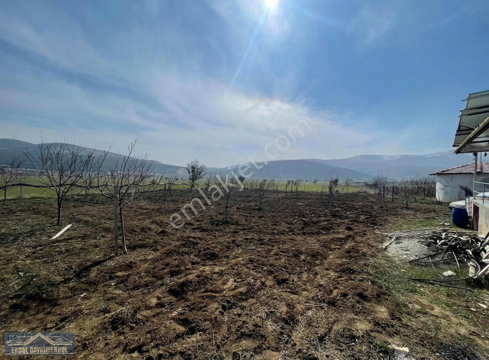 Tavas Sariabat Satılık Hobi Bahçesi - Görsel 17