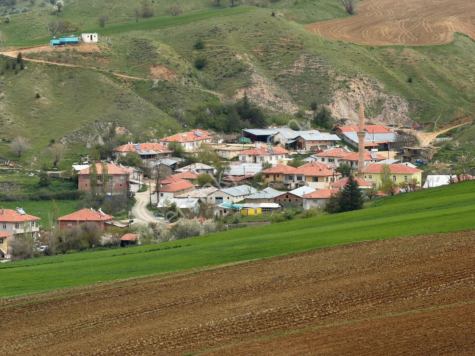/lider Gayrimenkul'den/ Karacalar Mah 1200m2 Hiise Tapulu Tarla - Görsel 3