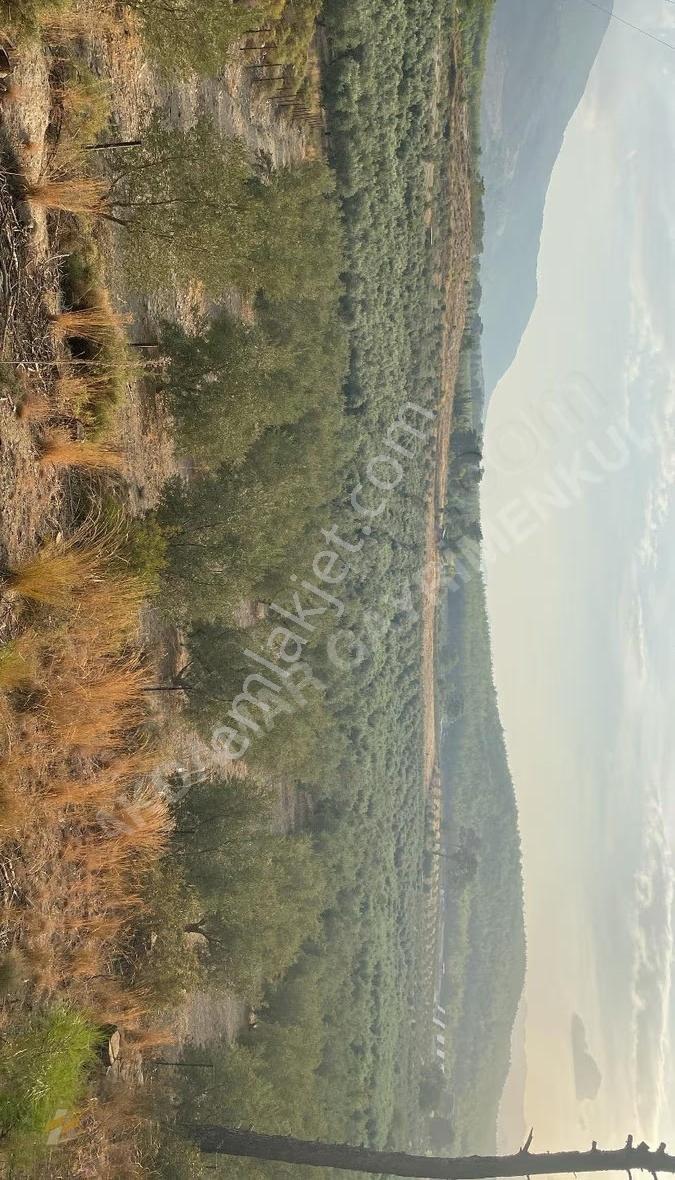 Saklıkent'e 3 Km Mesafede 4 Dönüm Tarla - Görsel 2