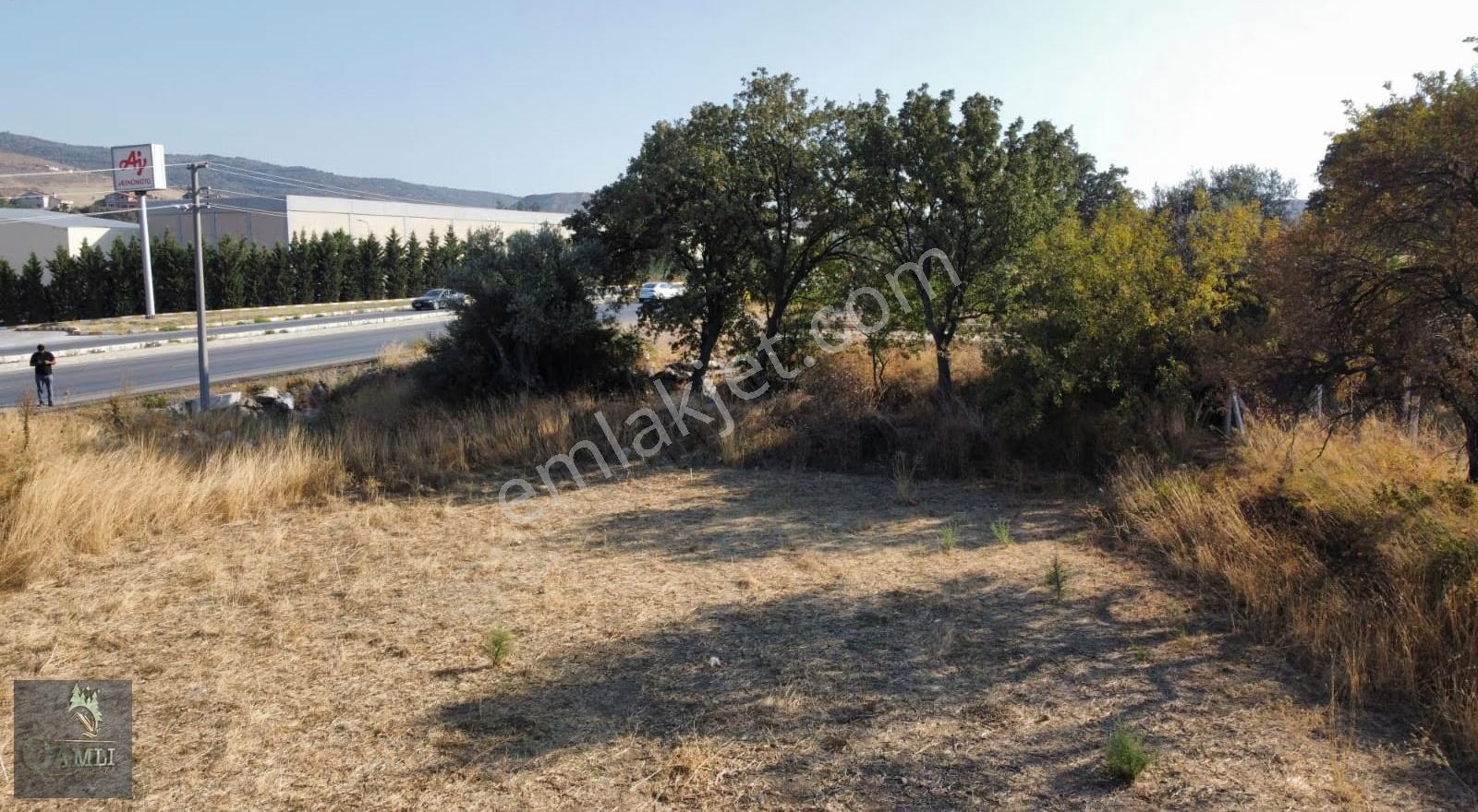 Çamlı Gayrimenkulden Ana Caddeye Yakın Yatırımlık Tarla - Görsel 2