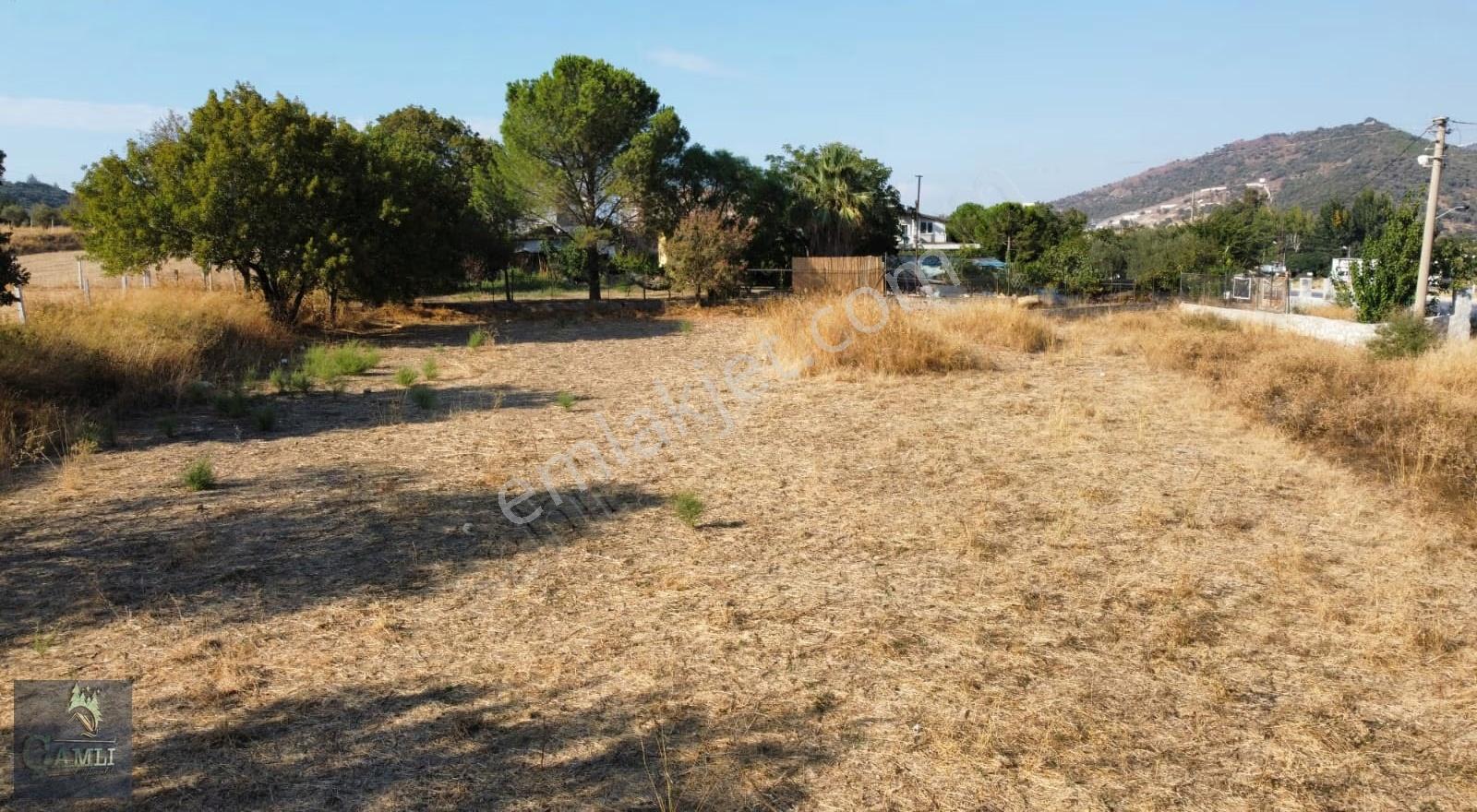Çamlı Gayrimenkulden Ana Caddeye Yakın Yatırımlık Tarla - Görsel 3