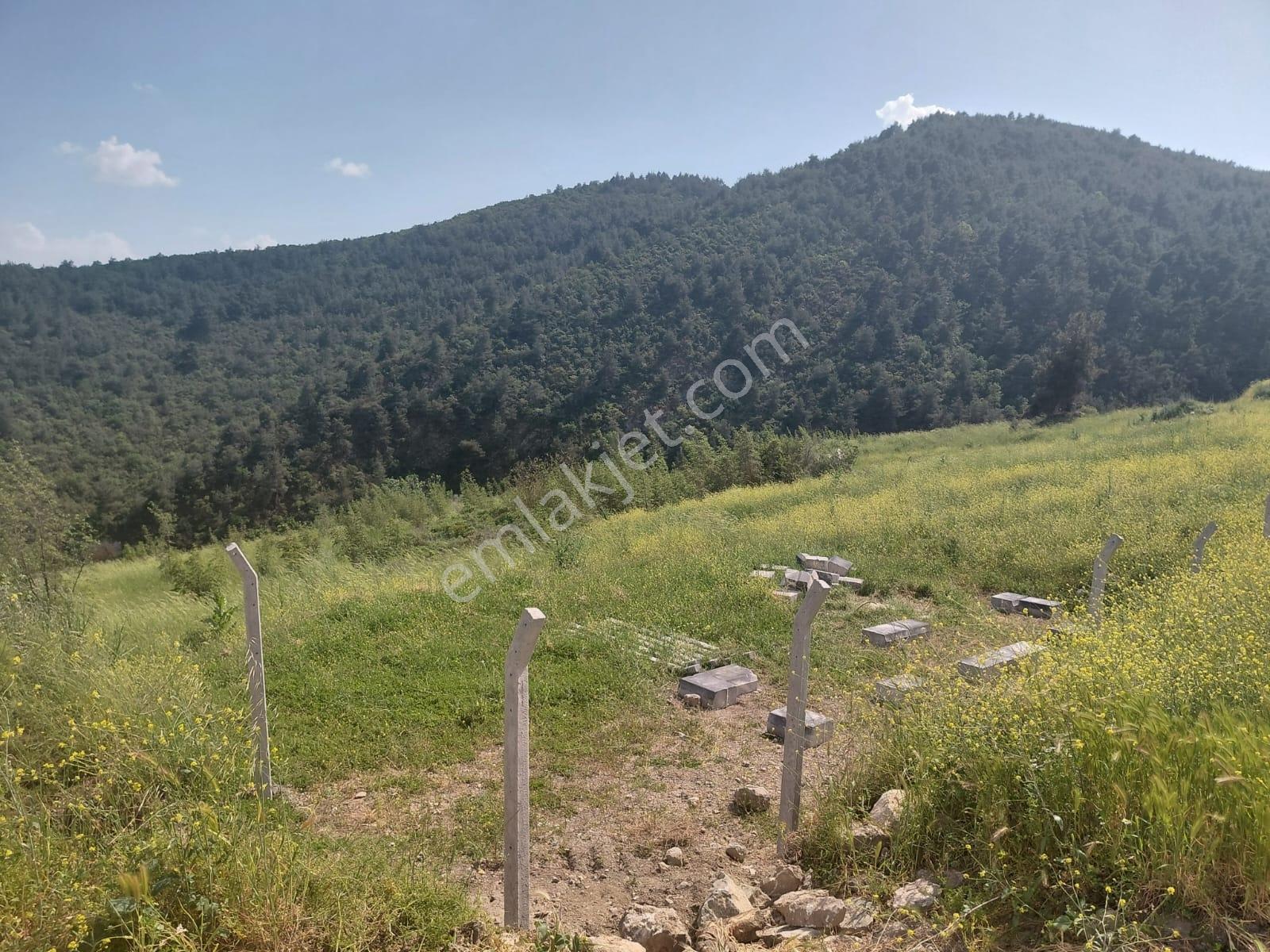 Orman Manzaralı Şeyhvarmazda Satılık 7.269 M2 Tarla - Görsel 15