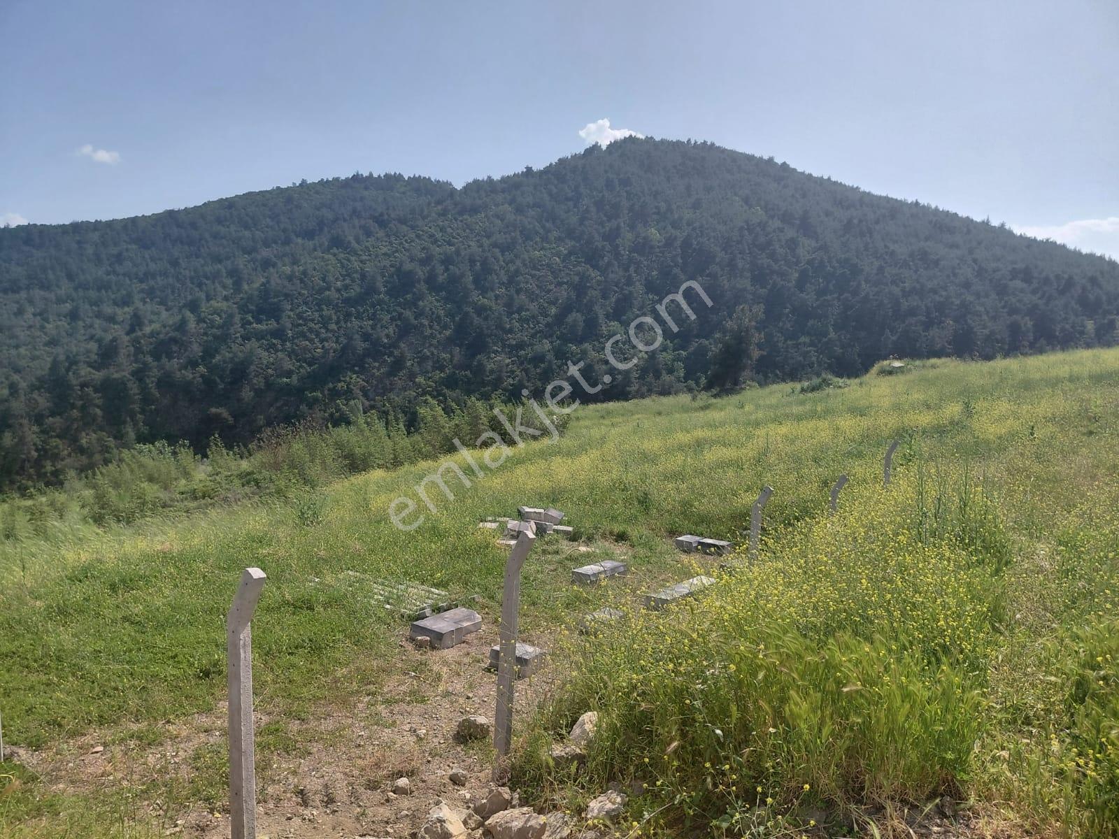 Orman Manzaralı Şeyhvarmazda Satılık 7.269 M2 Tarla - Görsel 11