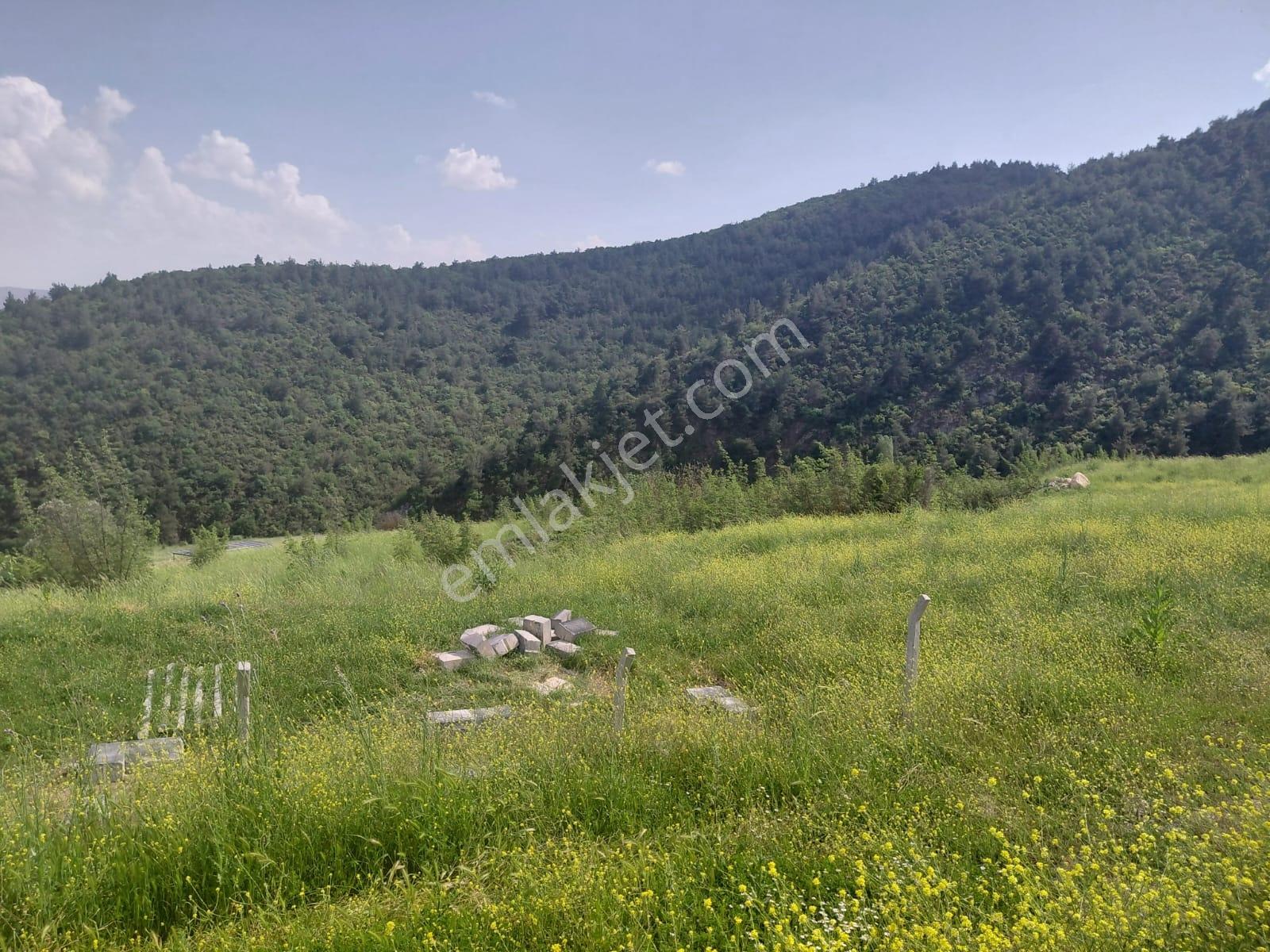 Orman Manzaralı Şeyhvarmazda Satılık 7.269 M2 Tarla - Görsel 8