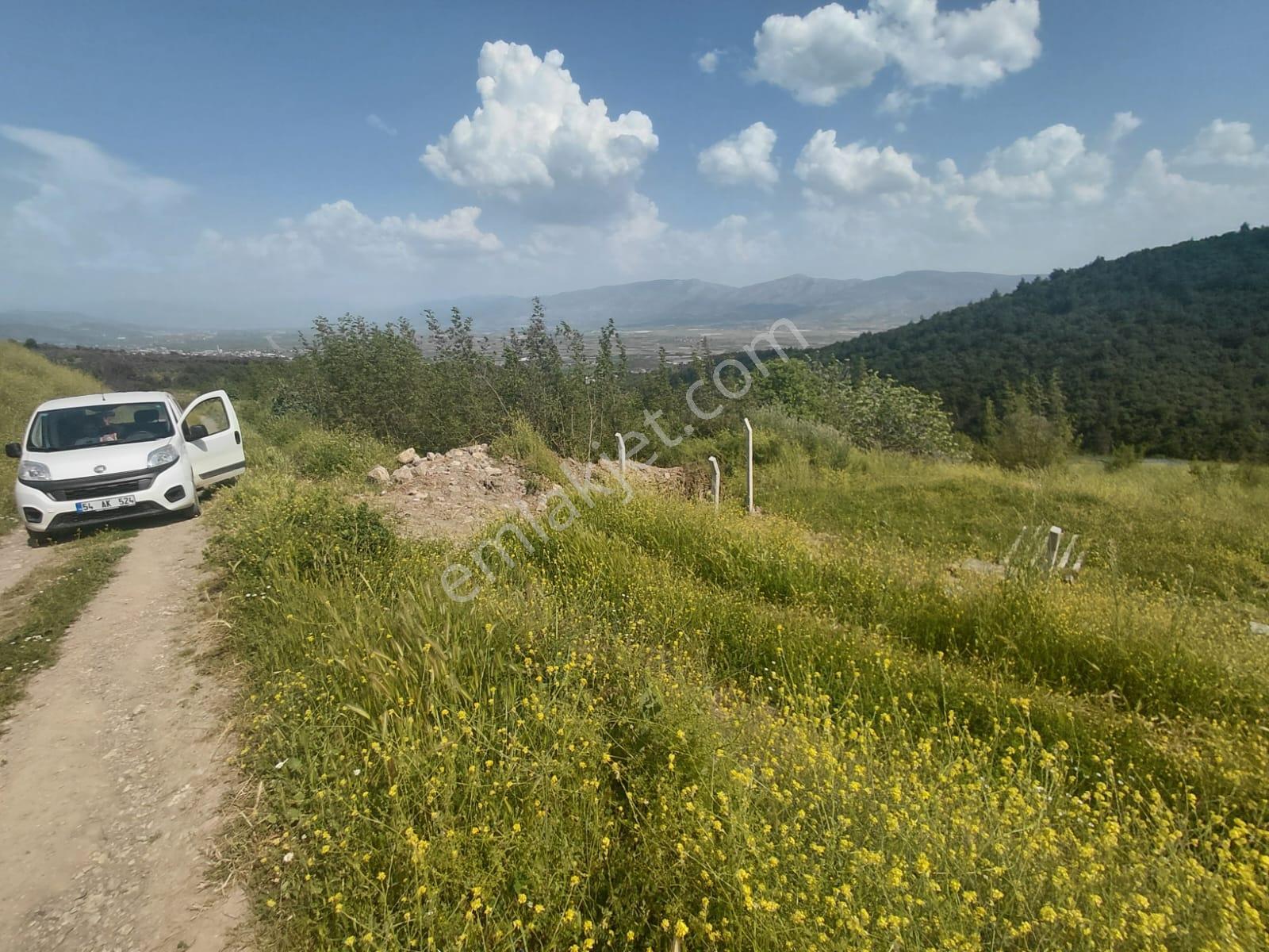Orman Manzaralı Şeyhvarmazda Satılık 7.269 M2 Tarla - Görsel 13