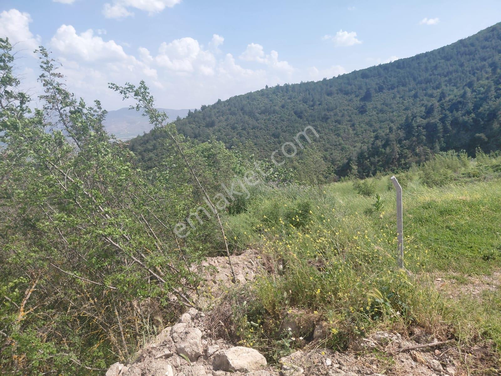 Orman Manzaralı Şeyhvarmazda Satılık 7.269 M2 Tarla - Görsel 3