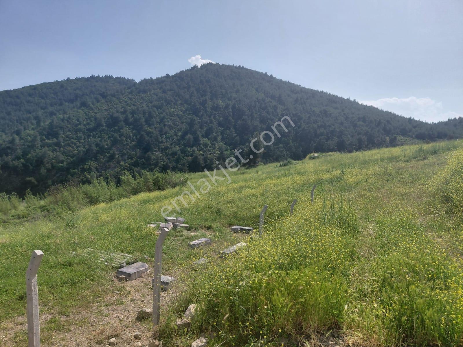 Orman Manzaralı Şeyhvarmazda Satılık 7.269 M2 Tarla - Görsel 12