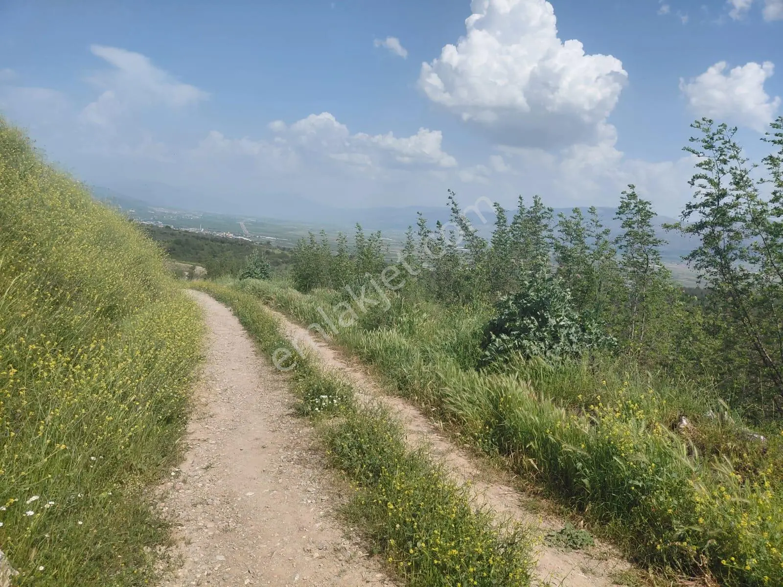 Orman Manzaralı Şeyhvarmazda Satılık 7.269 M2 Tarla