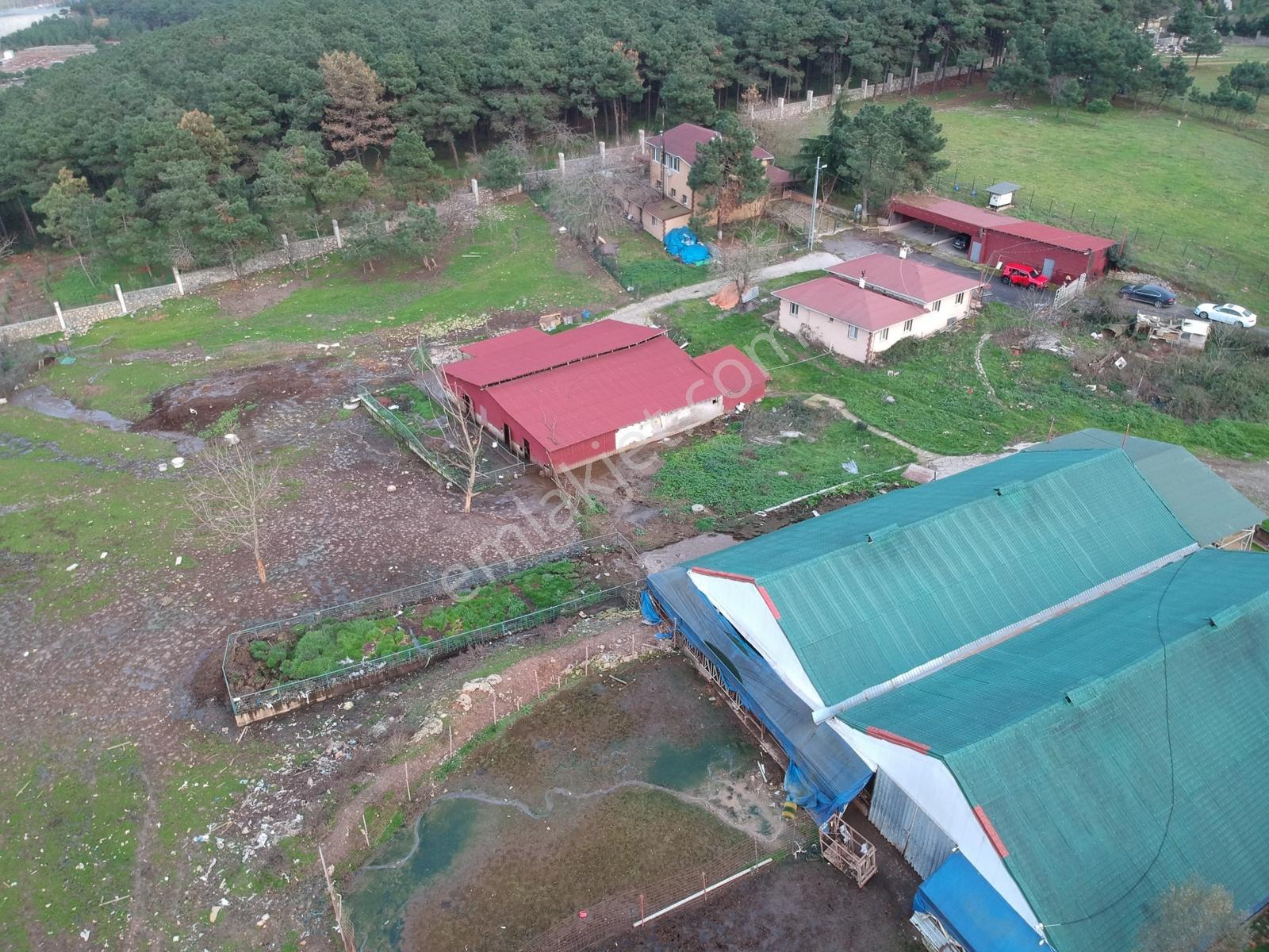 Başıbüyük 10dönüm İçinde 500m2 Kapalı Alana Sahip Çiftlik Depo - Görsel 4