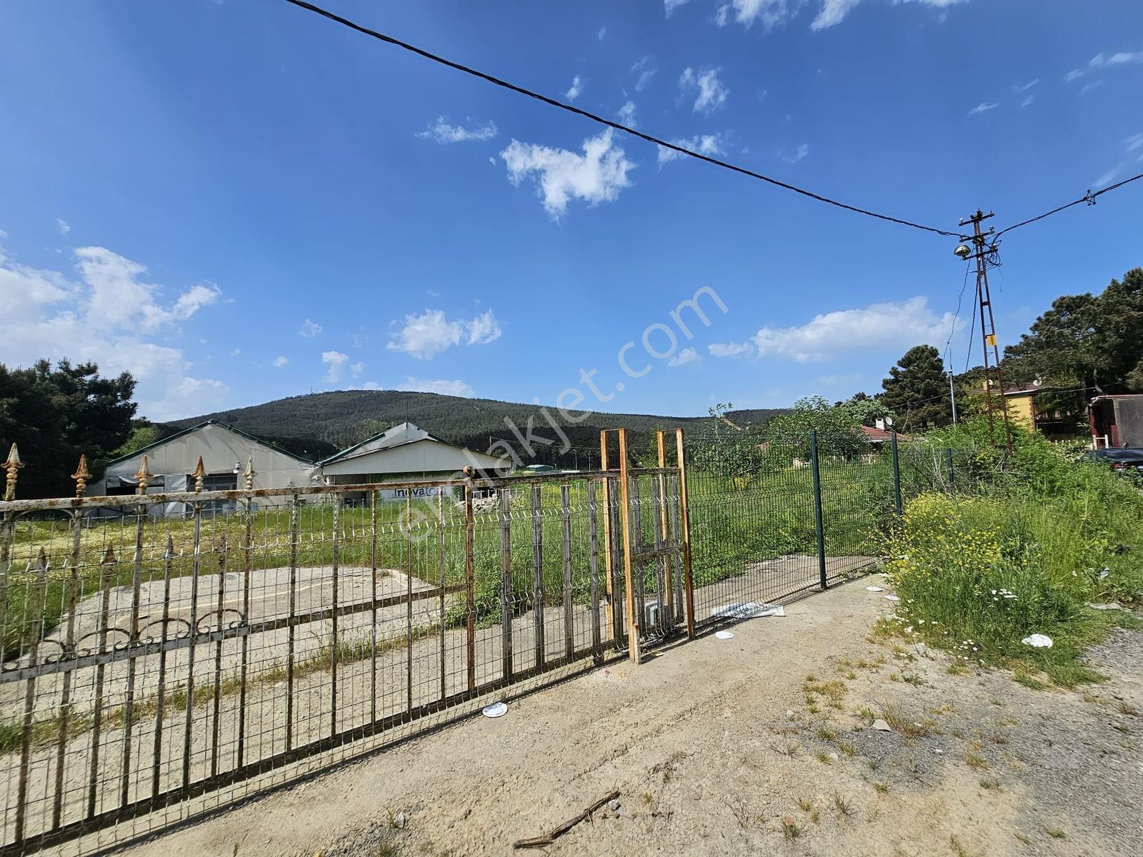 Başıbüyük 10dönüm İçinde 500m2 Kapalı Alana Sahip Çiftlik Depo - Görsel 8