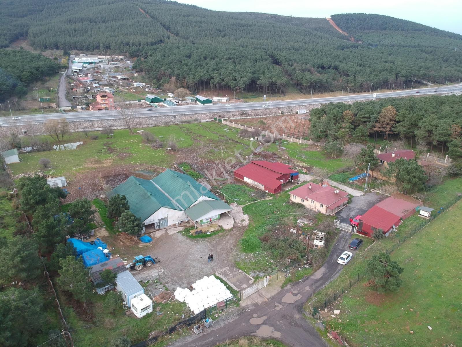 Başıbüyük 10dönüm İçinde 500m2 Kapalı Alana Sahip Çiftlik Depo - Görsel 20