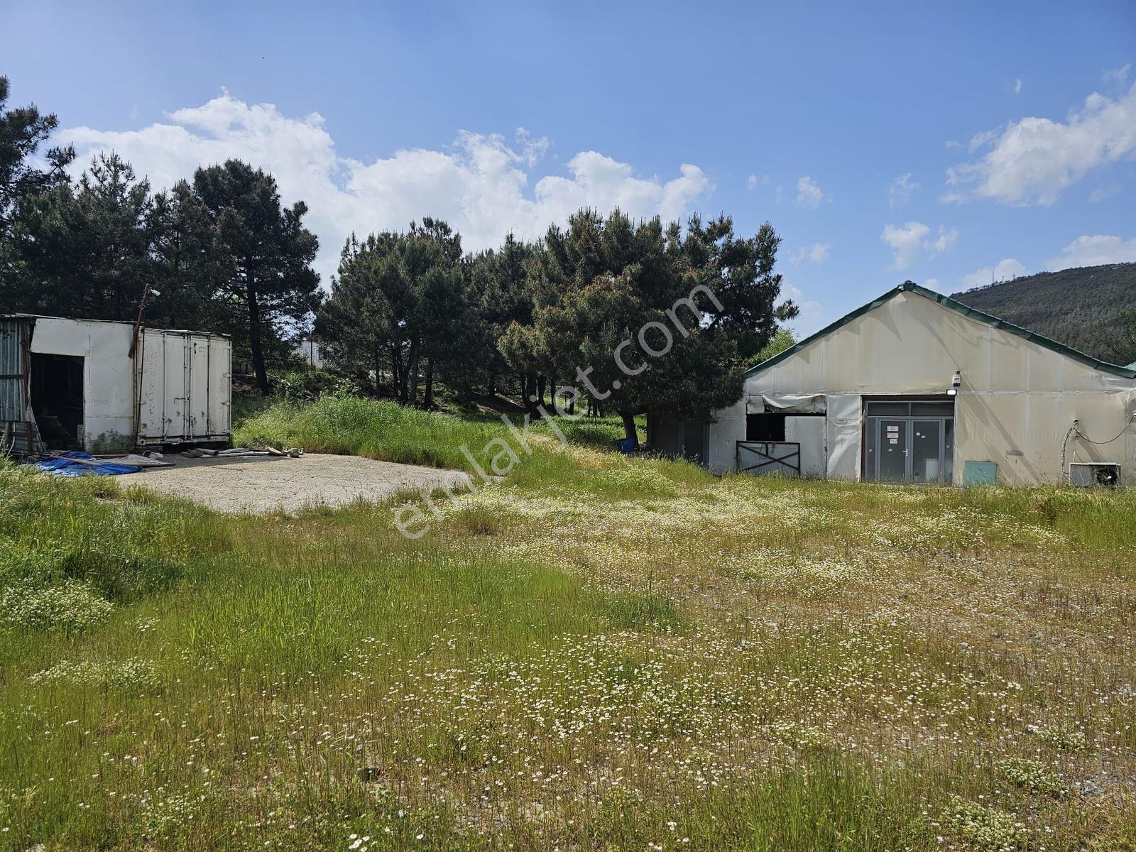 Başıbüyük 10dönüm İçinde 500m2 Kapalı Alana Sahip Çiftlik Depo - Görsel 18