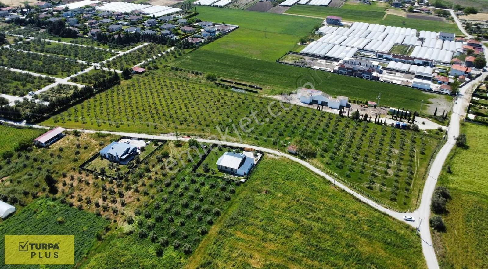 İzmir Urla Kuşçular Satılık 16.870 M2 Köy İçi İmarlı Tarla - Görsel 7