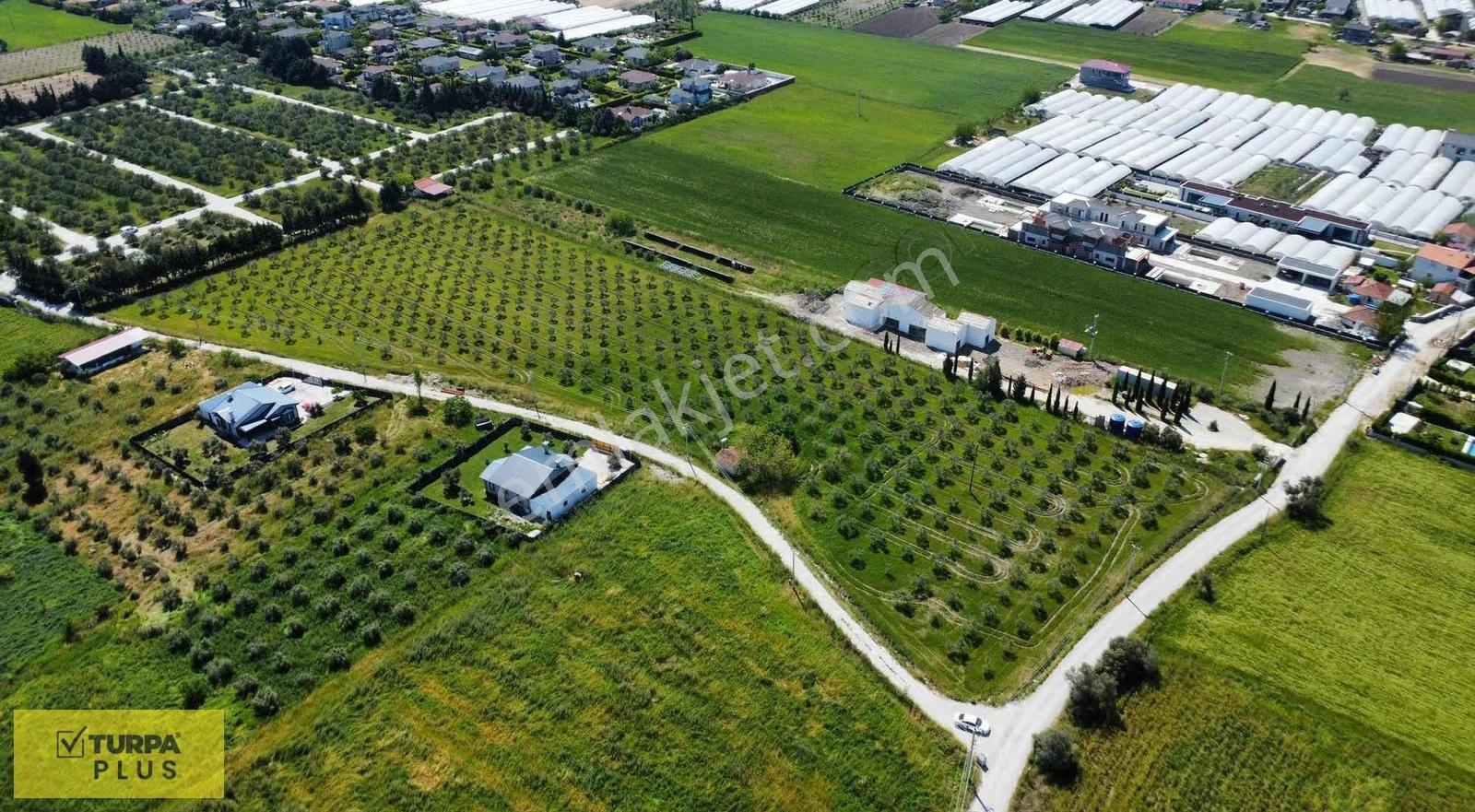 İzmir Urla Kuşçular Satılık 16.870 M2 Köy İçi İmarlı Tarla - Görsel 5