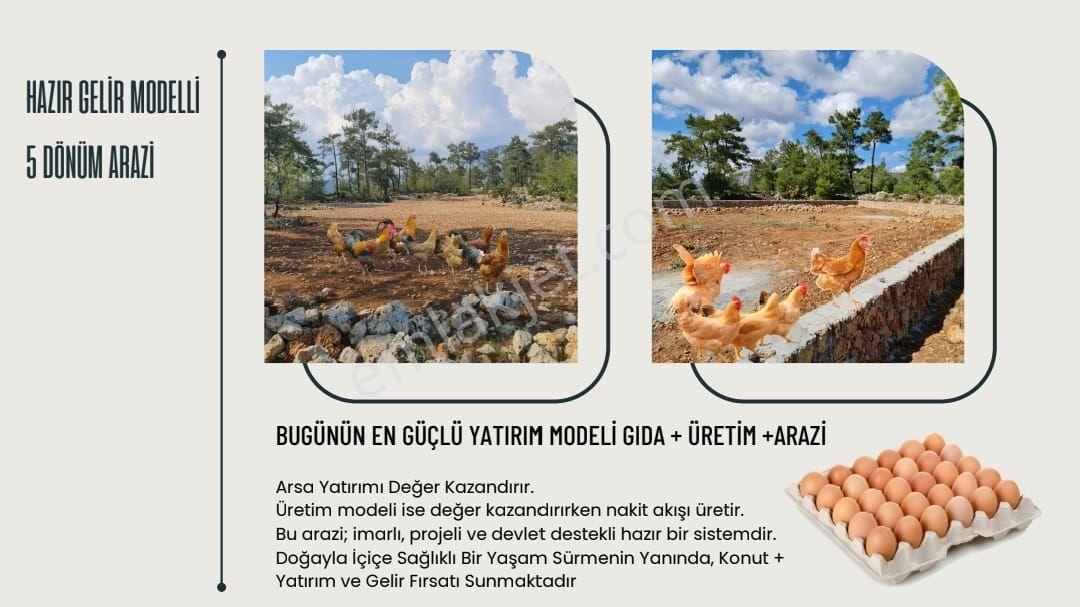 Fırsat İlanı Denize Yakın 5 Dönüm Çiftlik Ve Ev İmarli Hazır Projeli 5 Dönüm Satılık Arazi - Görsel 8