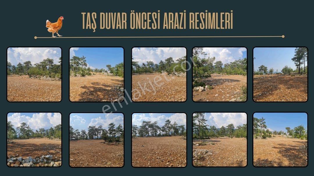 Fırsat İlanı Denize Yakın 5 Dönüm Çiftlik Ve Ev İmarli Hazır Projeli 5 Dönüm Satılık Arazi - Görsel 4