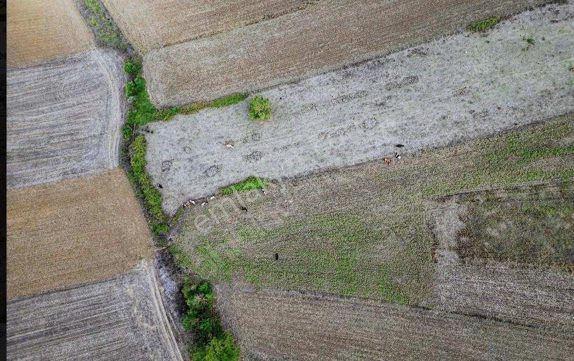 Kaynarca Da Müstakil Parsel Hemen Satışa Uygun Yola Yakın2177m2 - Görsel 3
