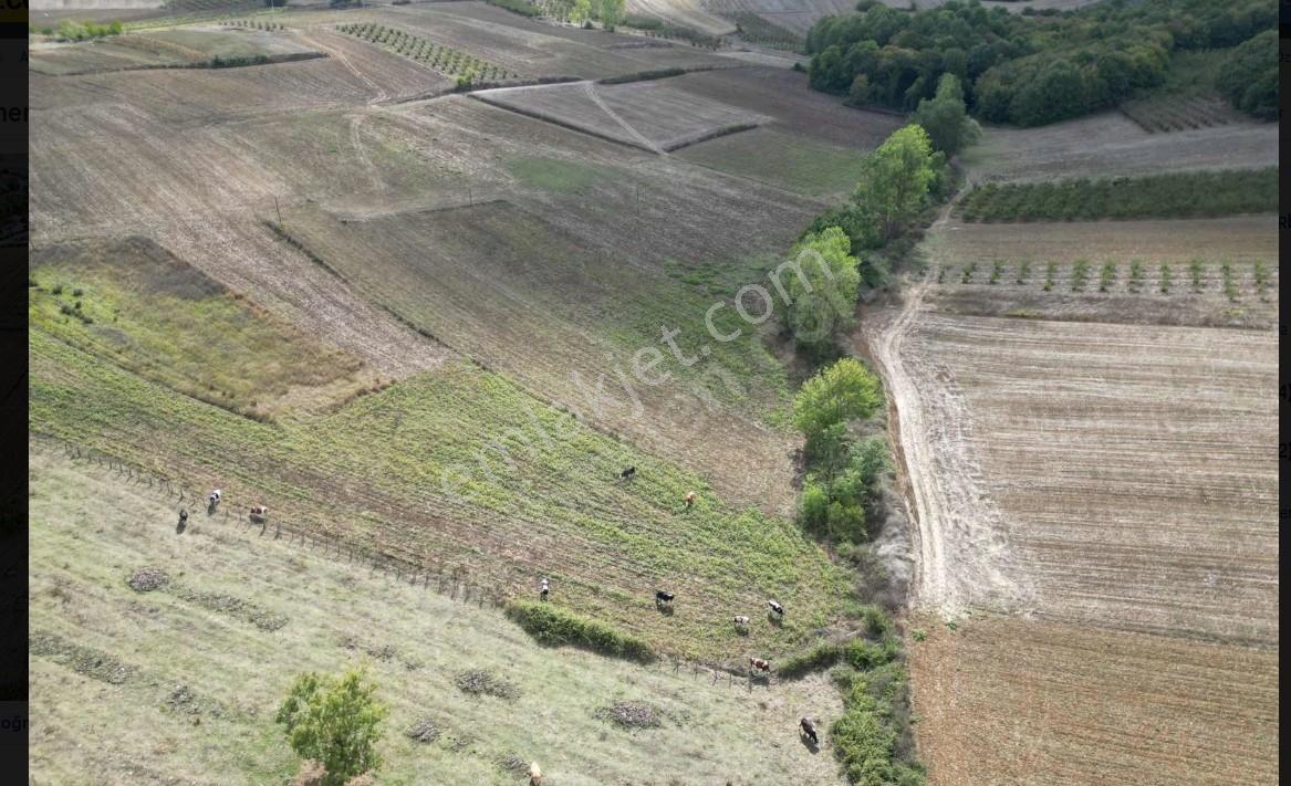 Kaynarca Da Müstakil Parsel Hemen Satışa Uygun Yola Yakın2177m2 - Görsel 5