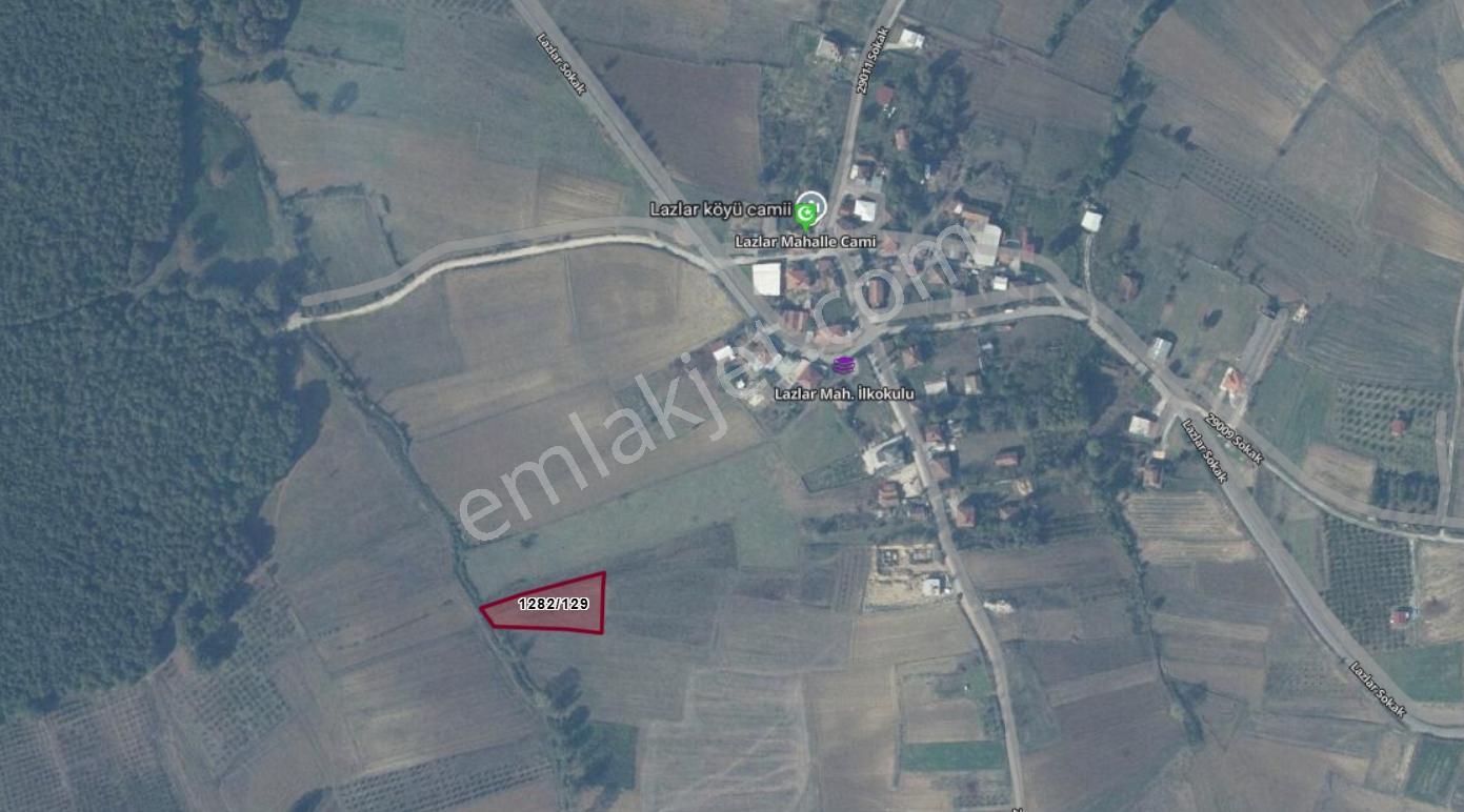 Kaynarca Da Müstakil Parsel Hemen Satışa Uygun Yola Yakın2177m2 - Görsel 9