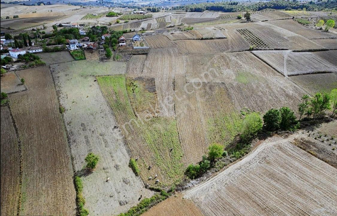 Kaynarca Da Müstakil Parsel Hemen Satışa Uygun Yola Yakın2177m2 - Görsel 6