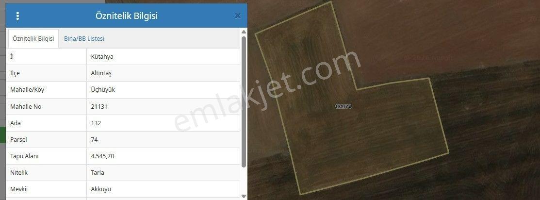 Kütahya Altıntaş Üçhüyük' De 4546 M2 Satılık Tarla - Görsel 15