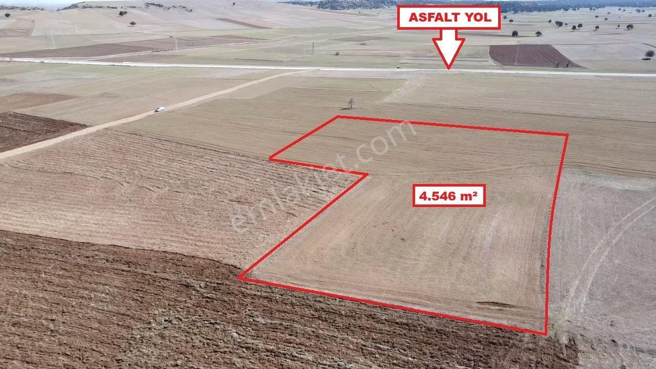 Kütahya Altıntaş Üçhüyük' De 4546 M2 Satılık Tarla - Görsel 2
