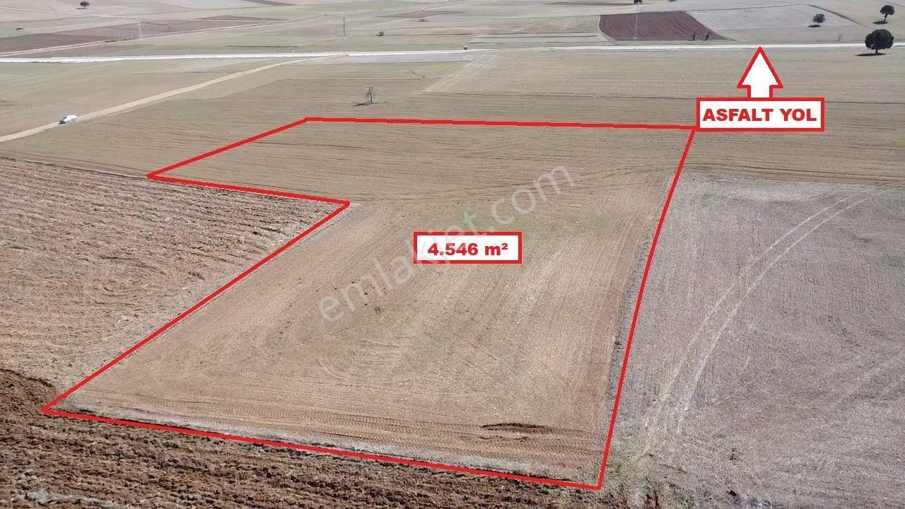 Kütahya Altıntaş Üçhüyük' De 4546 M2 Satılık Tarla - Görsel 4