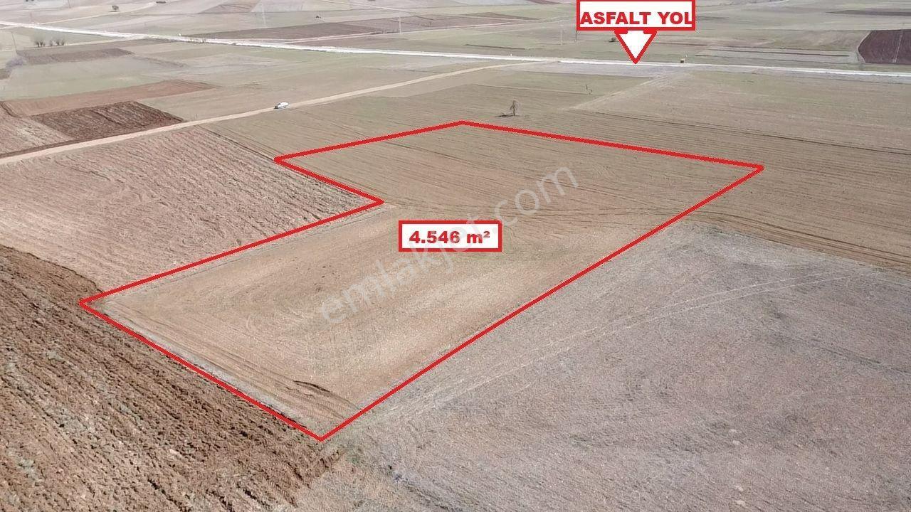 Kütahya Altıntaş Üçhüyük' De 4546 M2 Satılık Tarla - Görsel 3