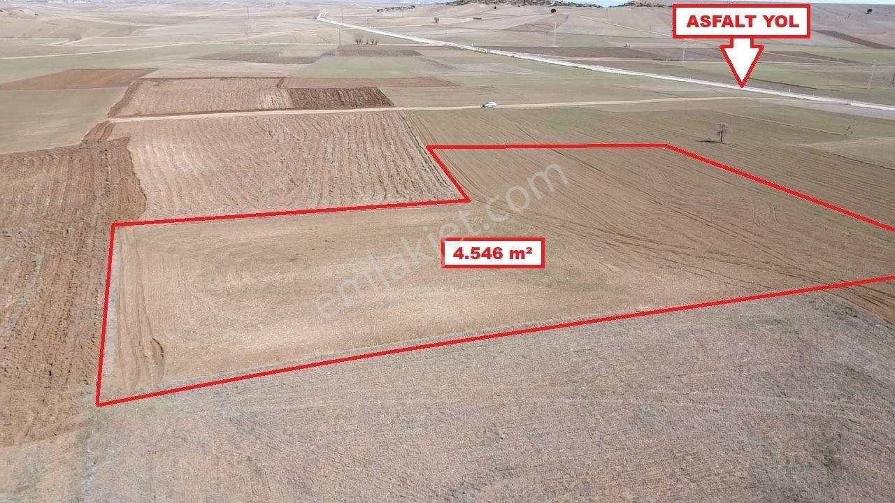 Kütahya Altıntaş Üçhüyük' De 4546 M2 Satılık Tarla