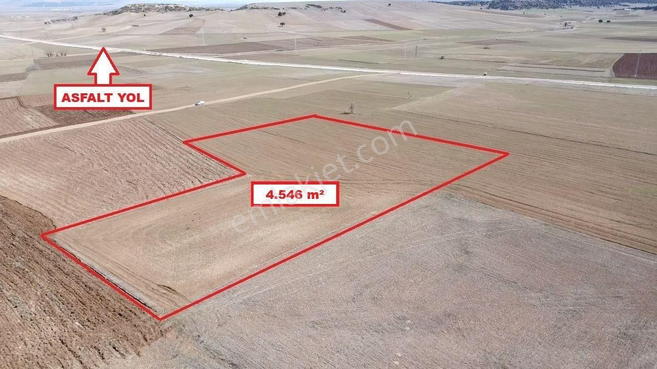 Kütahya Altıntaş Üçhüyük' De 4546 M2 Satılık Tarla - Görsel 9