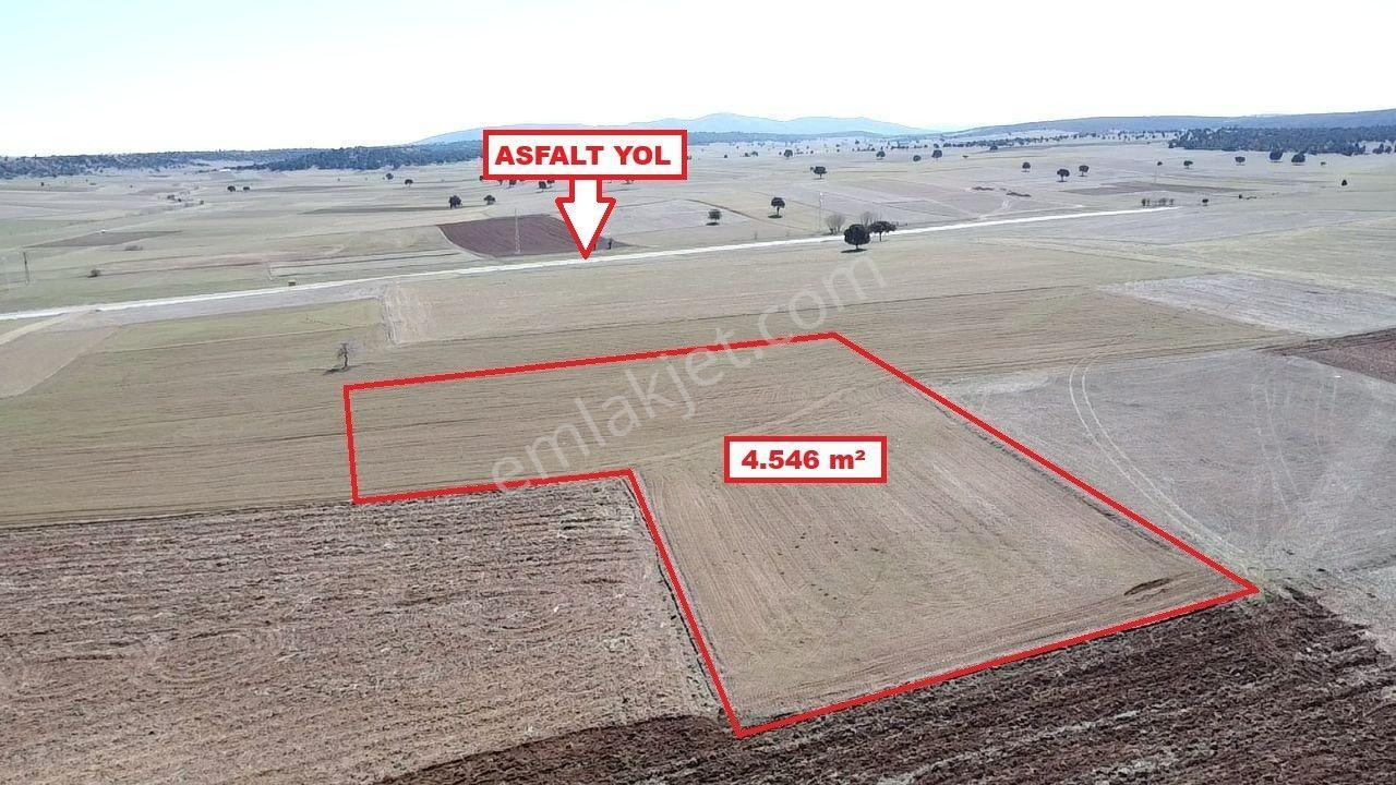 Kütahya Altıntaş Üçhüyük' De 4546 M2 Satılık Tarla - Görsel 14