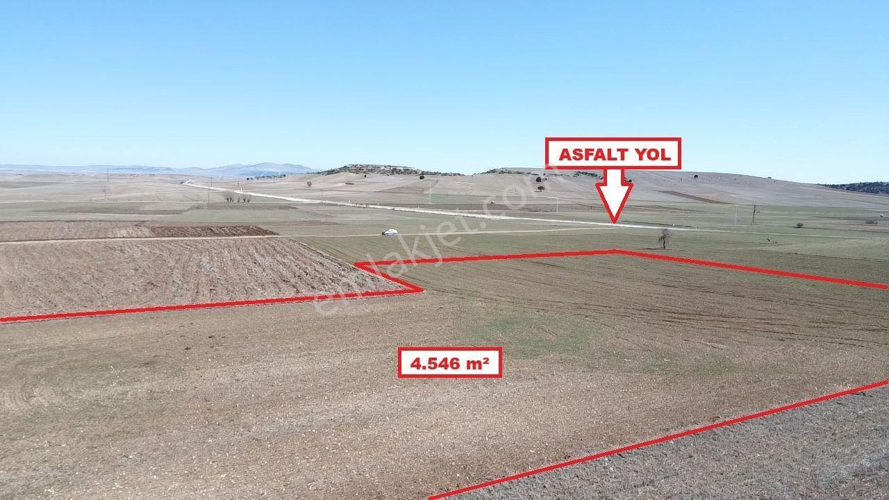 Kütahya Altıntaş Üçhüyük' De 4546 M2 Satılık Tarla - Görsel 5