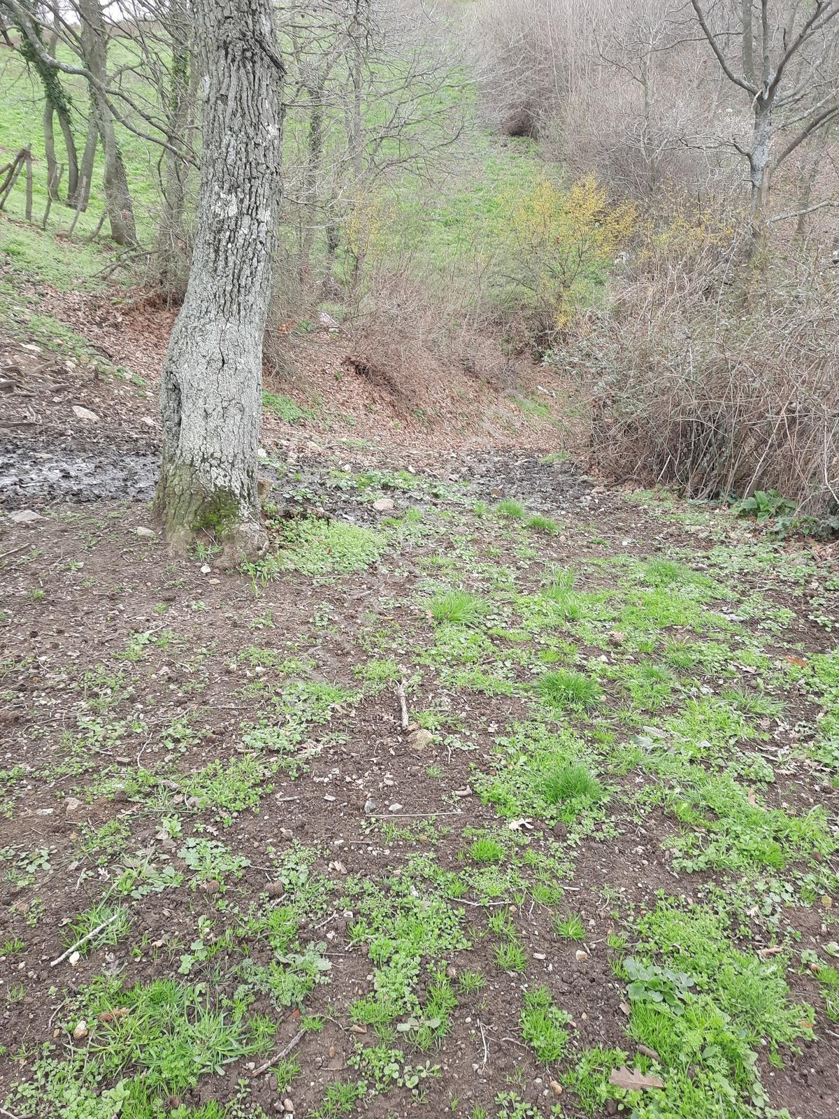 Gönen Kalburcu Mah. Satılık 16 Dönüm Tarla - Görsel 11