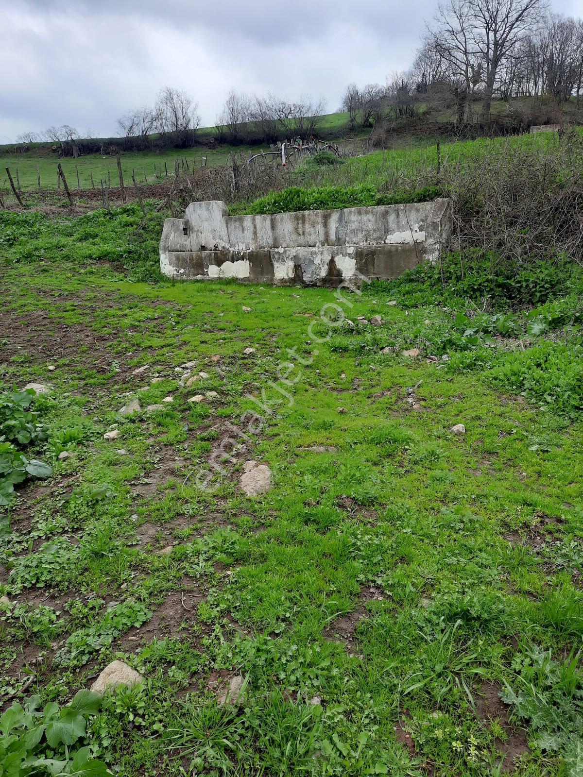 Gönen Kalburcu Mah. Satılık 16 Dönüm Tarla - Görsel 34