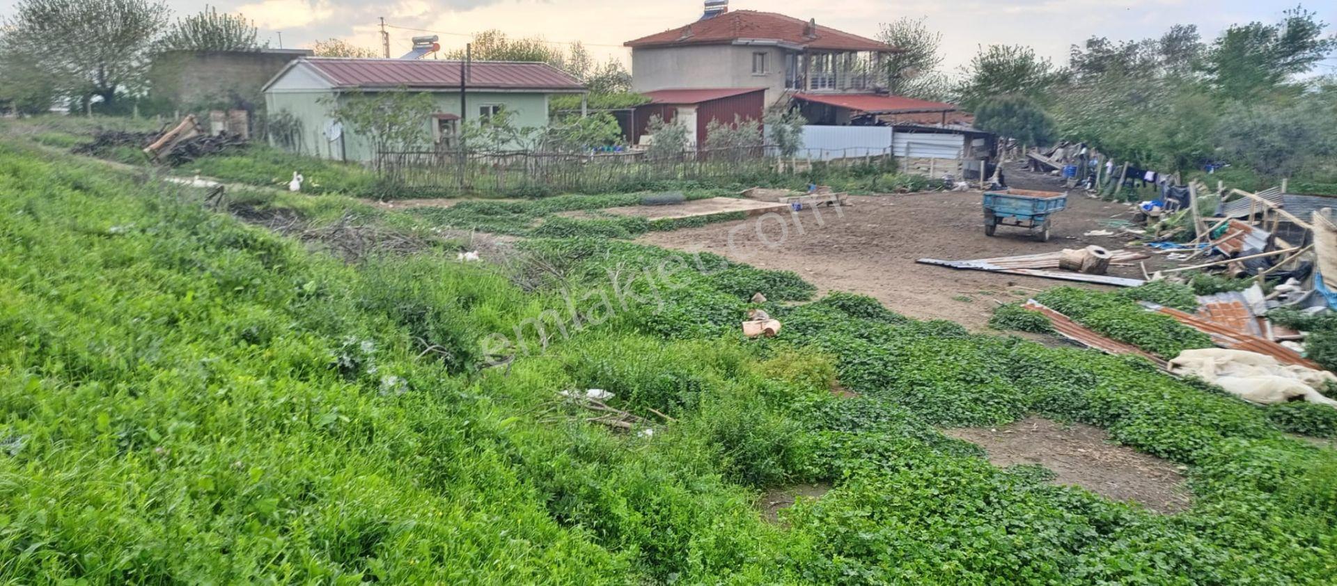 Adil Emlak'tan Salihli Kabazlı’da 500 M² İmara Açık Arsa !!!! - Görsel 3