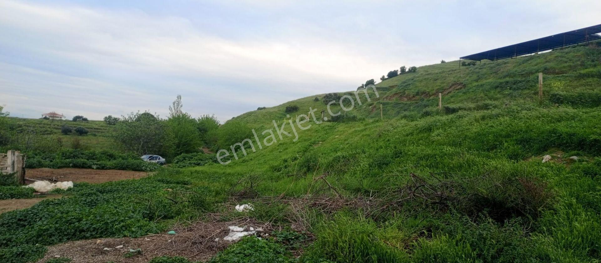 Adil Emlak'tan Salihli Kabazlı’da 500 M² İmara Açık Arsa !!!! - Görsel 9