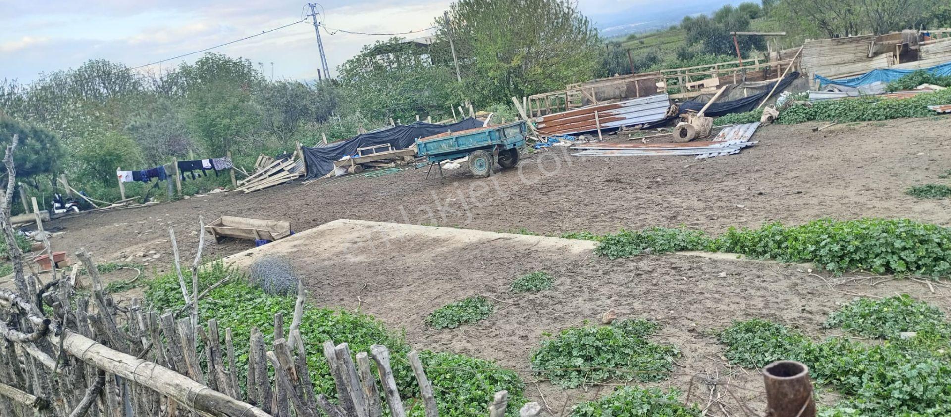 Adil Emlak'tan Salihli Kabazlı’da 500 M² İmara Açık Arsa !!!! - Görsel 6