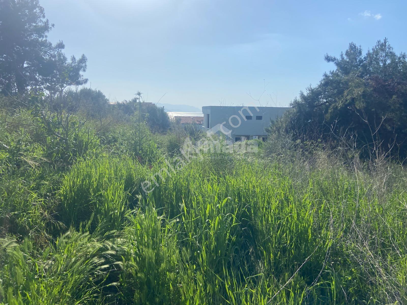 Kuşadası Soğucakta Eşsiz Deniz Manzaralı Satılık Villa Arsası