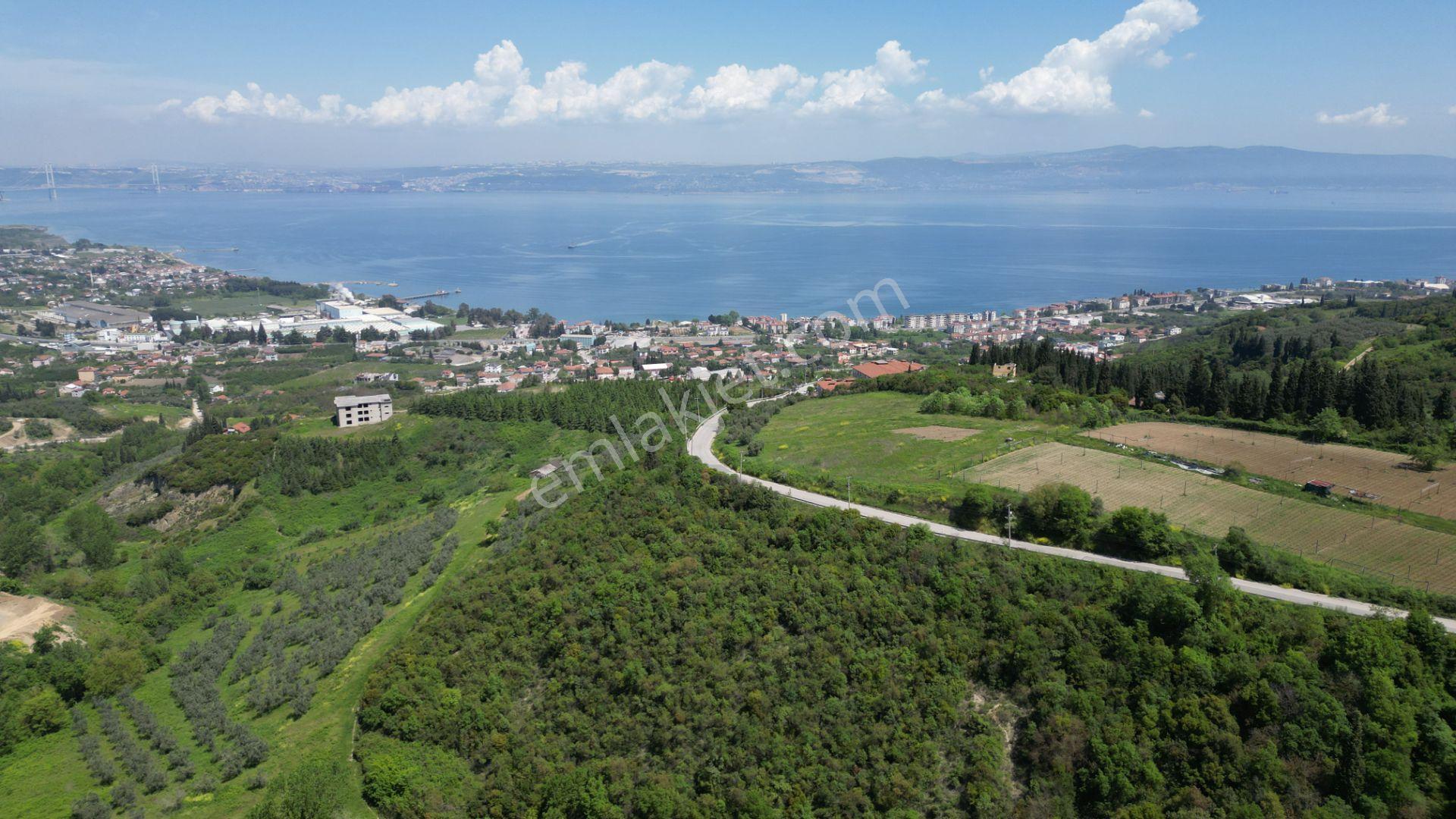 Karamürsel Dereköy 1698 M2 %5 İmarlı Satılık Parsel - Görsel 5