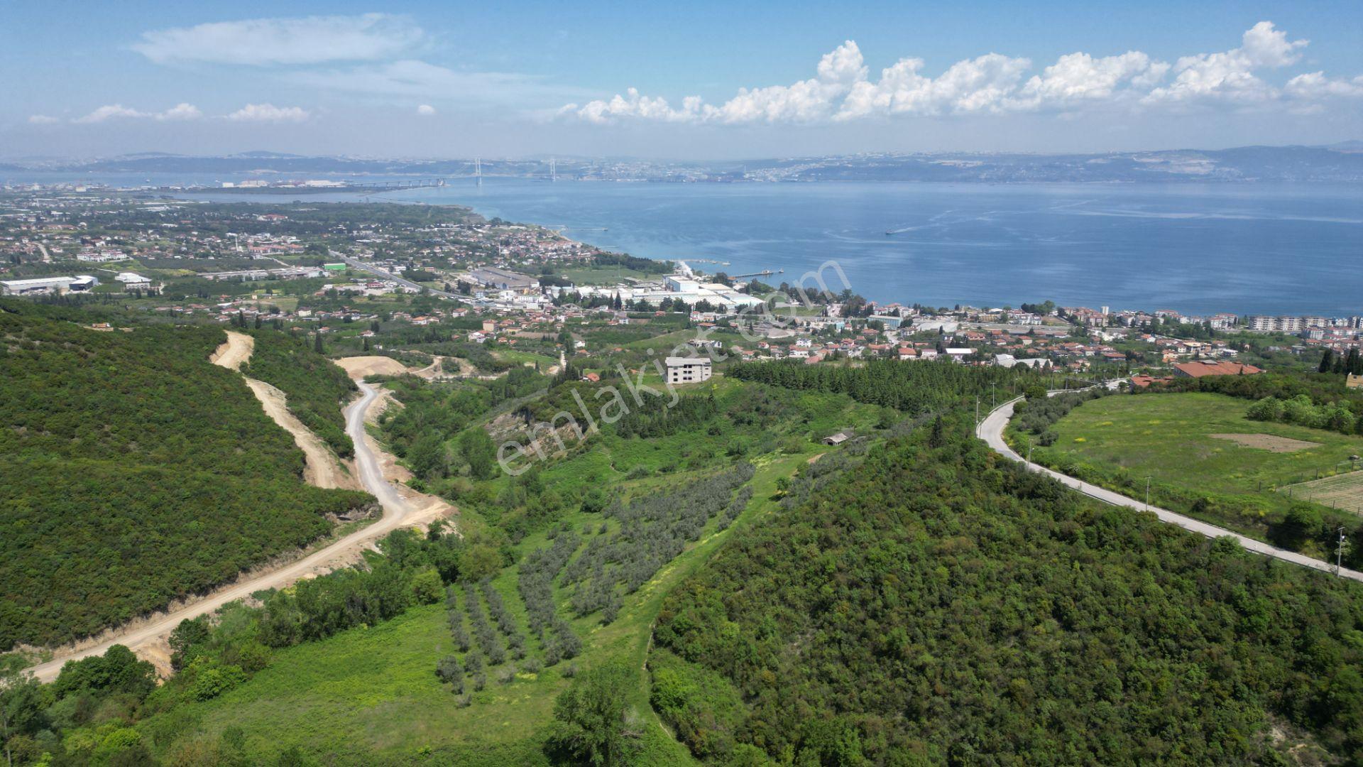 Karamürsel Dereköy 1698 M2 %5 İmarlı Satılık Parsel - Görsel 6