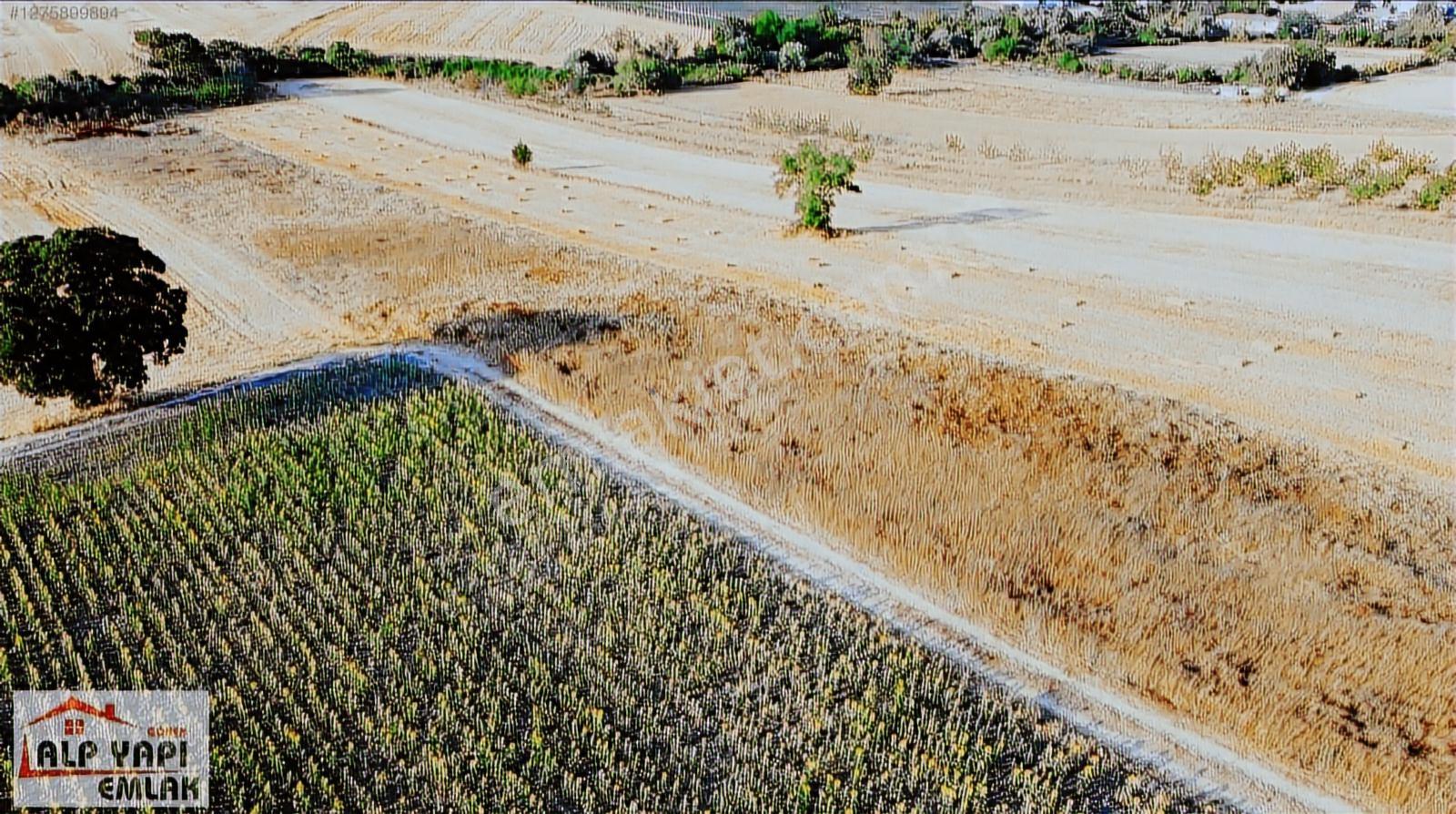 Gönen Gökçesu Osmanpazar Mh. 13.790m² Satılık Tarla - Görsel 9
