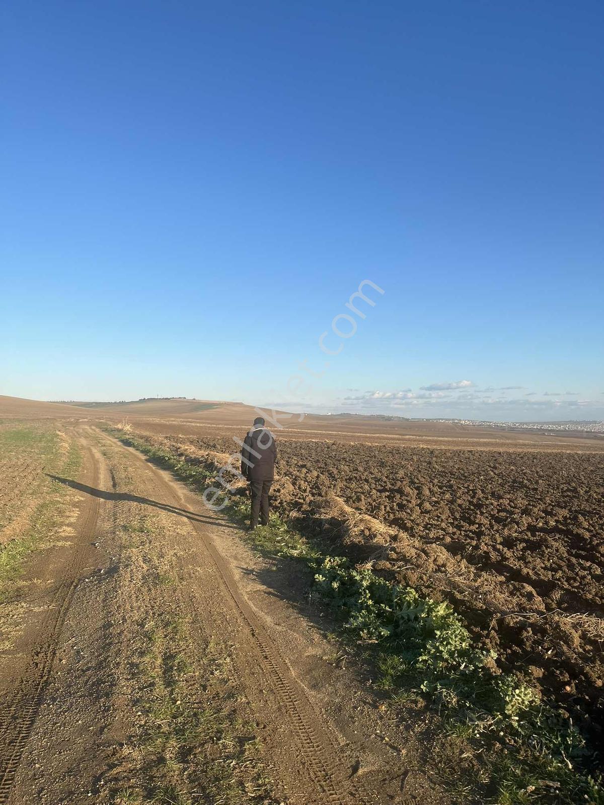 Acil Acil Fiyat Düştü Deniz Manzaralı 359 M2 Arsa - Görsel 13